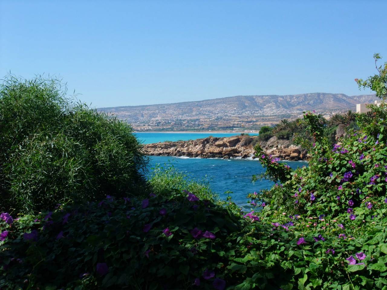 L'ile de Chypres: Chypres